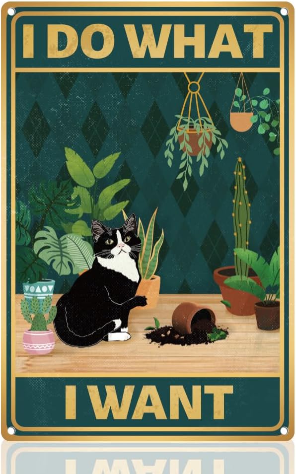 Y1,Cute Cat Breaks Flowerpot S - Smart Garden In Home ulasan dan harga