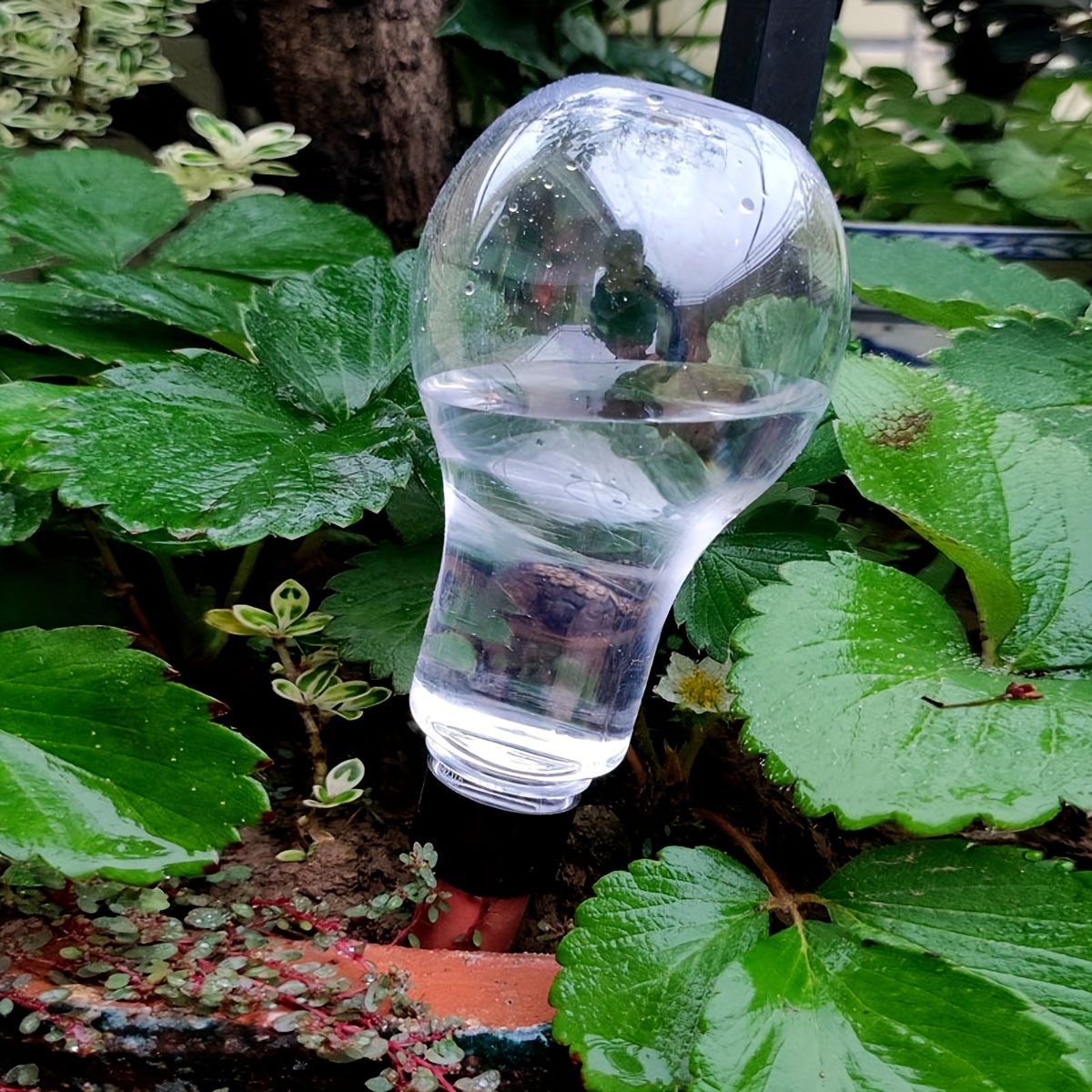 Garden Automatic Watering Tool - Smart Garden Watering System ulasan dan harga