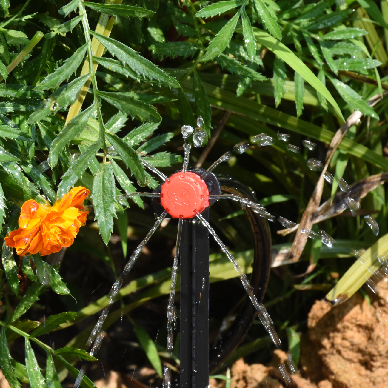 KESLA 30-800X Garden Drip Irri - Smart Garden Sprinkler System ulasan dan harga