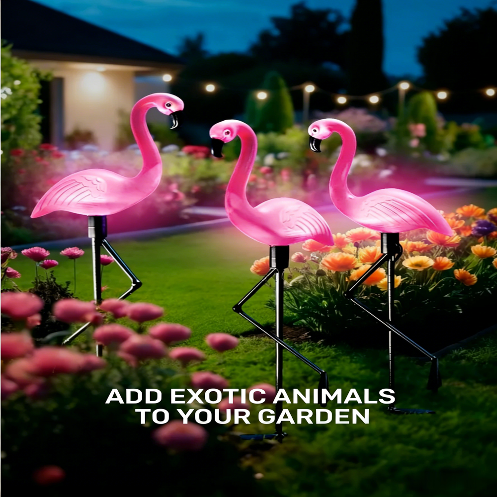 3Pcs Solar Powered Flamingo Gr - Smart Garden Solar ulasan dan harga