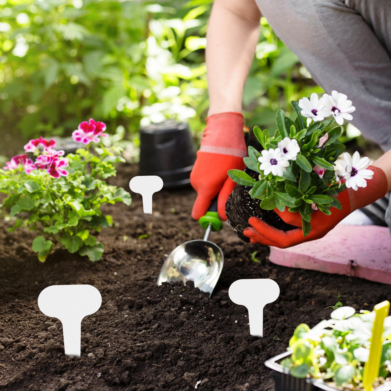 100 pieces White Plastic PVC P - Garden Journal Planner ulasan dan harga