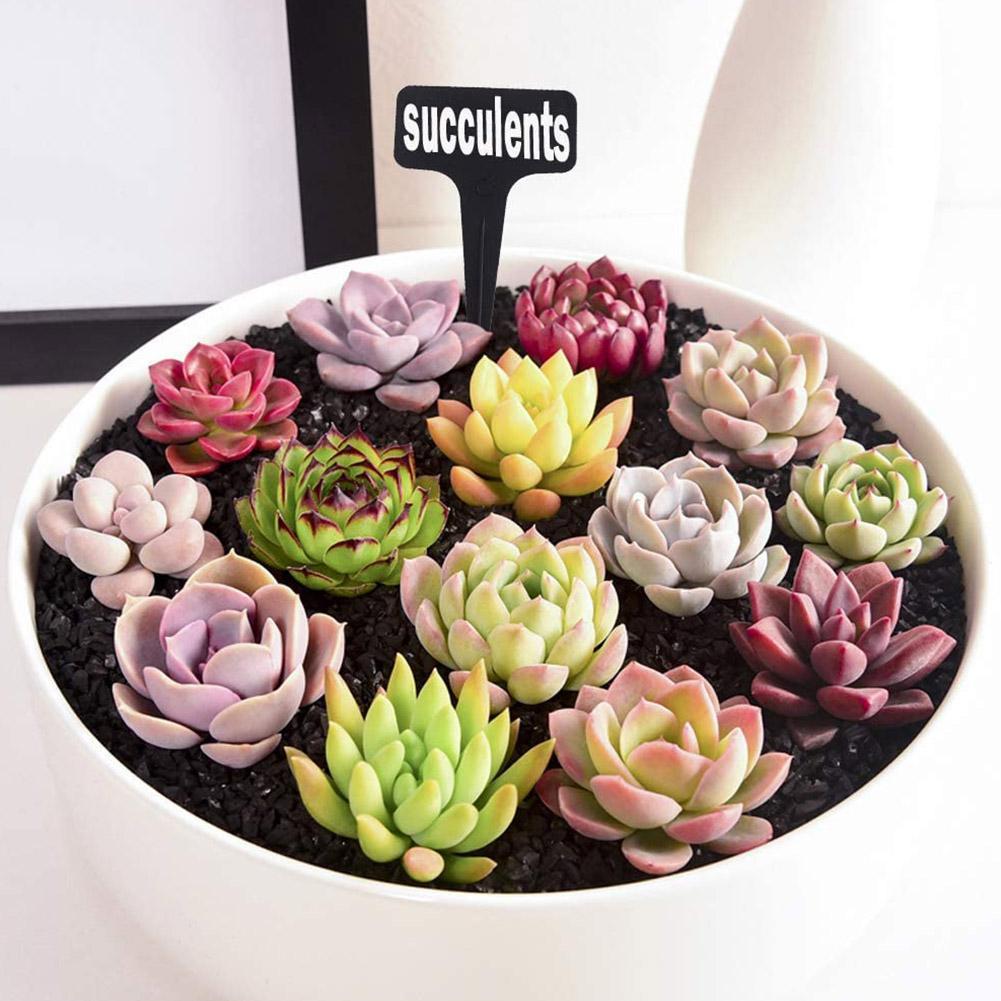 10/25pcs Garden Plant Labels P - Garden Journal Planner ulasan dan harga