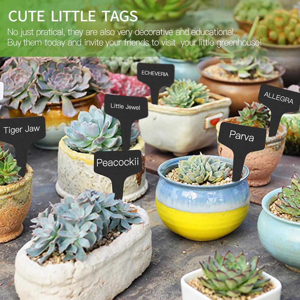 10/25pcs Garden Plant Labels P - Garden Journal Planner ulasan dan harga
