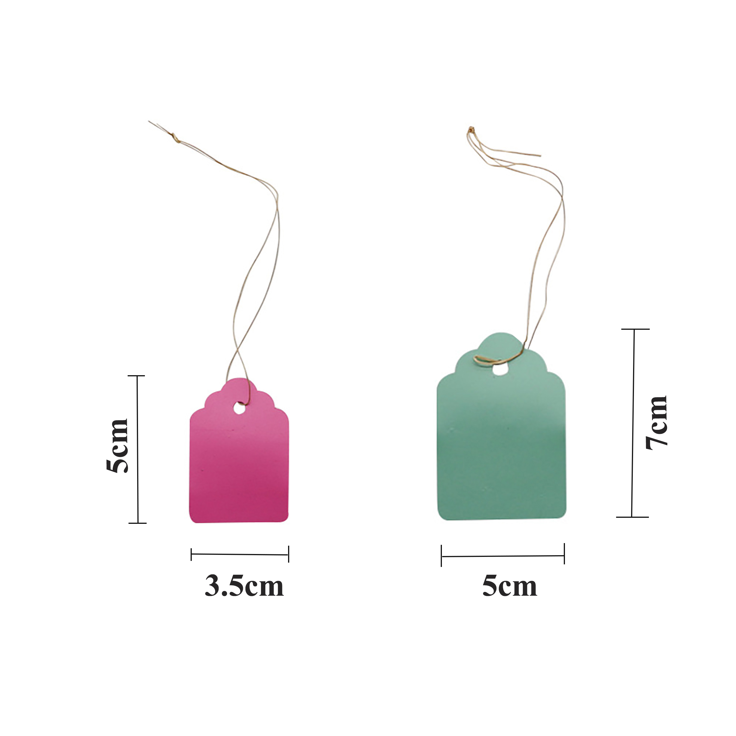 100Pcs/Lot Plants Hanging Plan - Garden Journal Planner ulasan dan harga