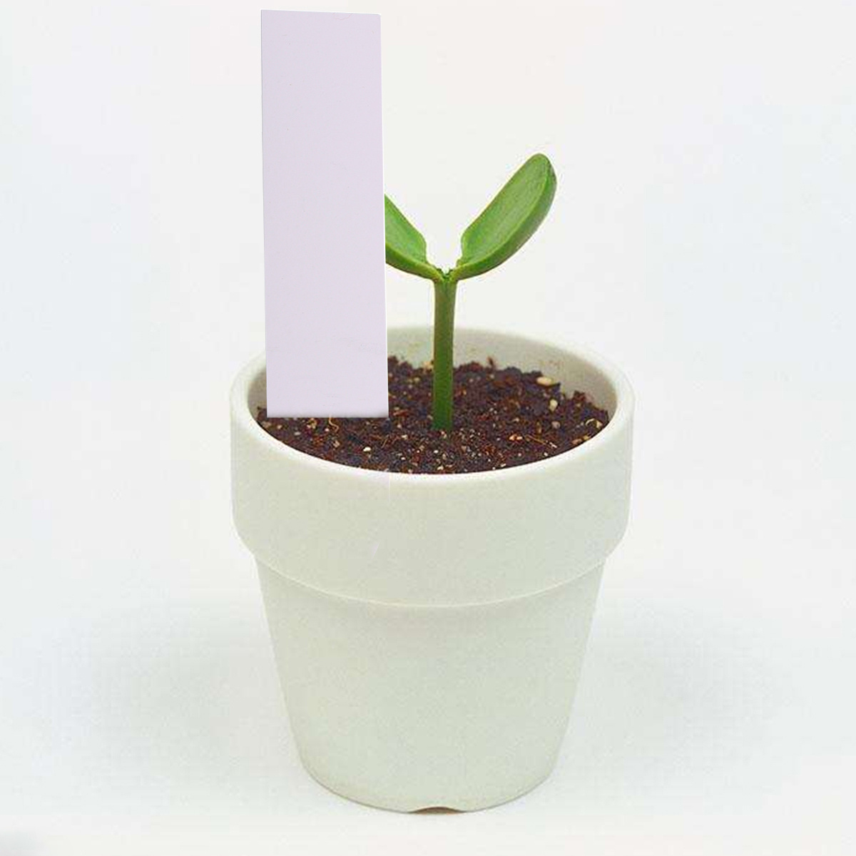 100pcs Garden Plant Labels Whi - Garden Journal Planner ulasan dan harga