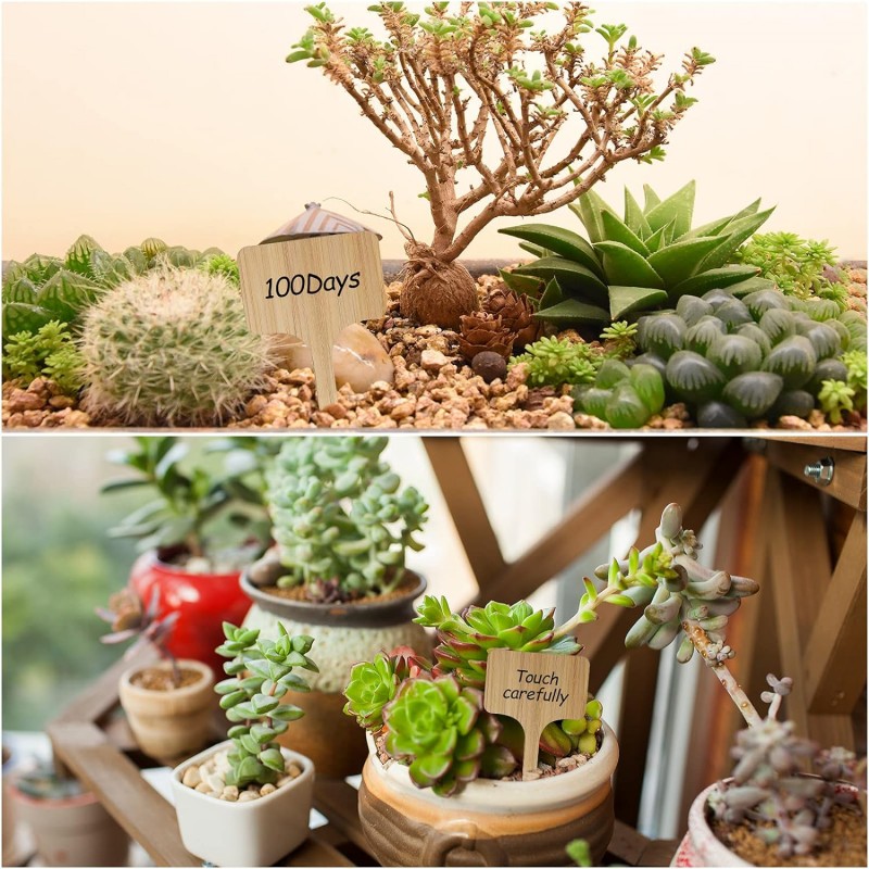 T-Type Bamboo Plant Labels Eco - Garden Journal Planner ulasan dan harga